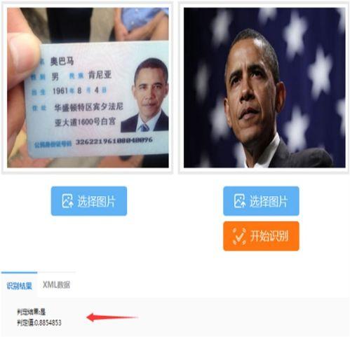 《人证》在线观看,揭秘人性与真相的较量